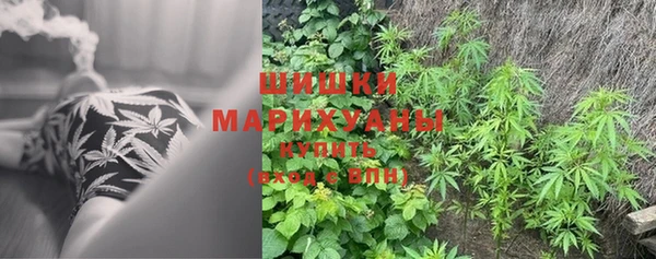 a pvp Аркадак