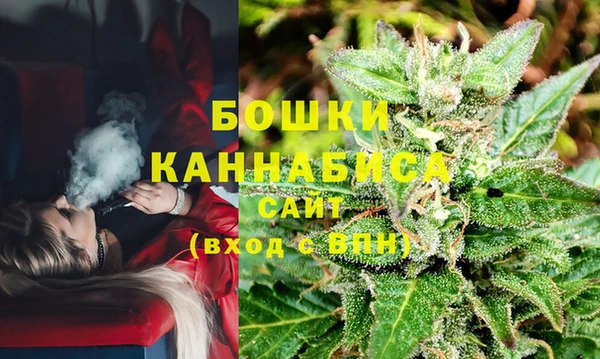 a pvp Аркадак