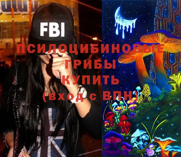 прущая мука Арсеньев