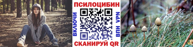 Галлюциногенные грибы Magic Shrooms  Усолье-Сибирское 
